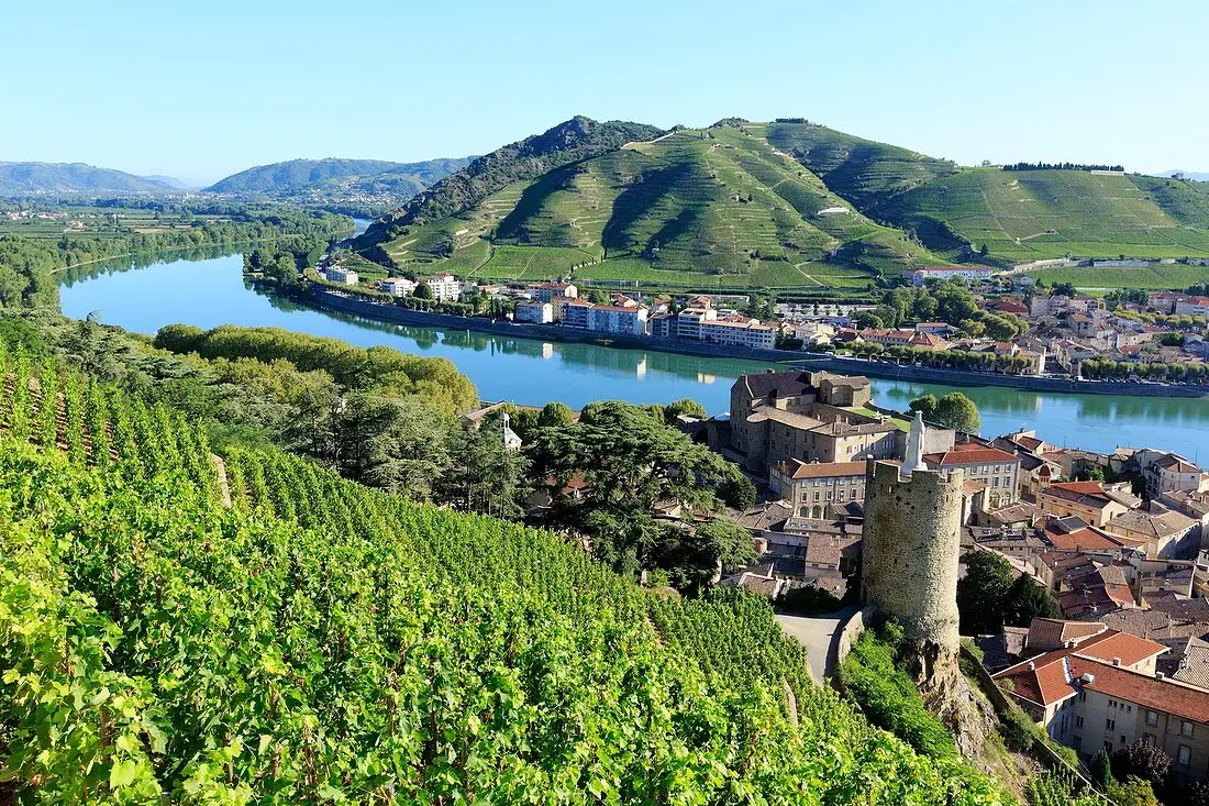 The Hermitage vineyards on the slope above Tain-l'Hermitage and the Rhône